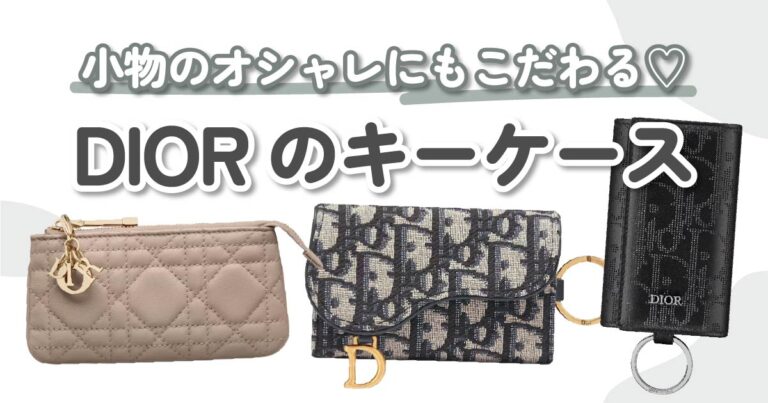 Diorキーケース