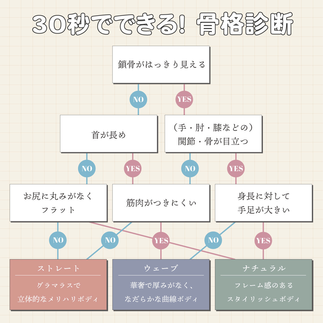 「骨格診断」とは？