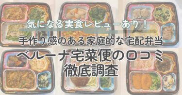 ベルーナ宅菜便の口コミを徹底調査！気になる味・ボリュームの実食レポもご紹介