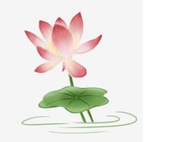 水蓮suiren先生