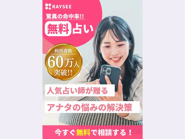 RAYSEE（レイシー）の特徴とサービス内容