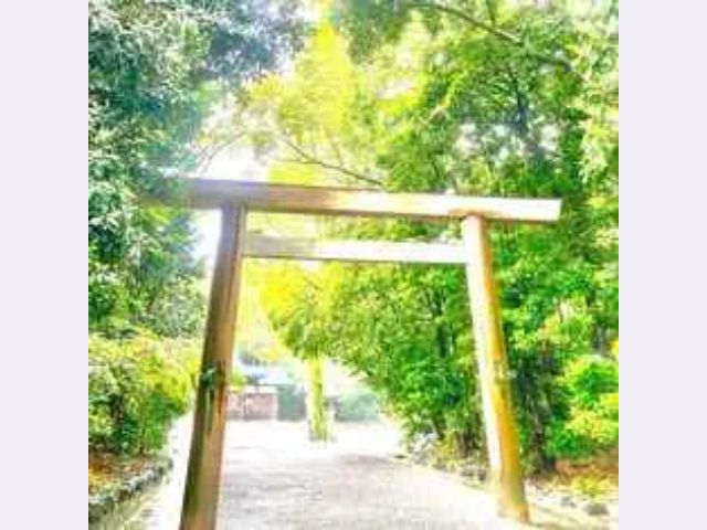 璃杏（りあん）先生｜恋愛・未来を好転させるのが得意