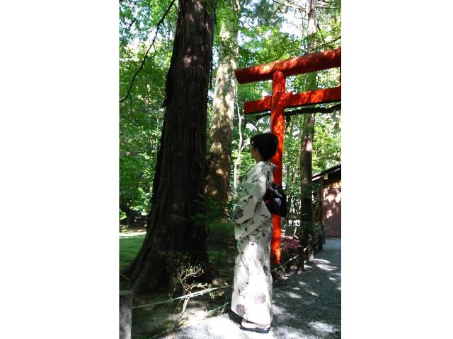 京都占いサロンasile〜アジール〜｜らんたん先生